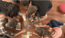 Juego Demundus